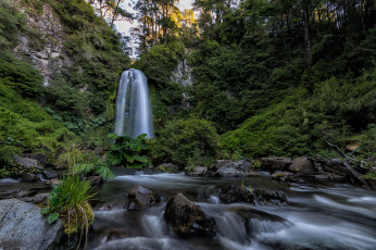 Картинка природа водопады река водопад лес