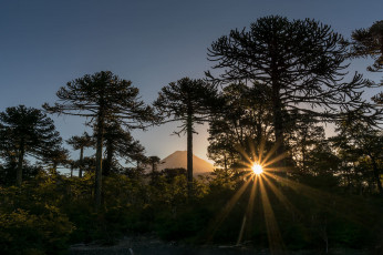 Картинка природа восходы закаты рассвет