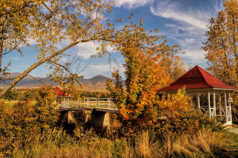 Картинка природа дороги осень