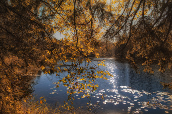 Картинка природа реки озера река лес