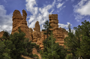 Картинка природа горы лес скалы