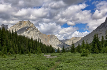 Картинка природа горы речка лес ложбина