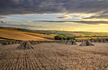 Картинка природа поля вечер поле сено