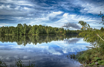 Картинка природа реки озера лес река