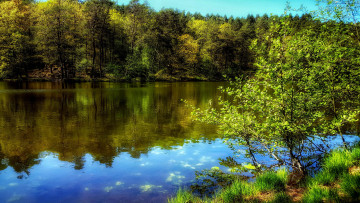 Картинка природа реки озера река лес