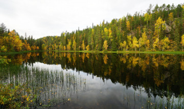 Картинка природа реки озера река лес