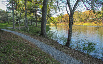 Картинка природа дороги дорожка арка лес