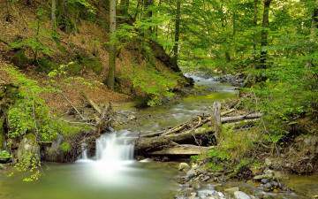 Картинка природа реки озера лес река