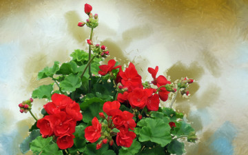 Картинка разное компьютерный+дизайн цветы фон текстура