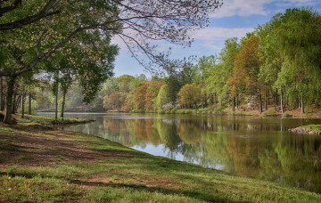 Картинка природа реки озера река лес