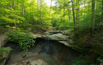 Картинка природа водопады ручей лес водопад