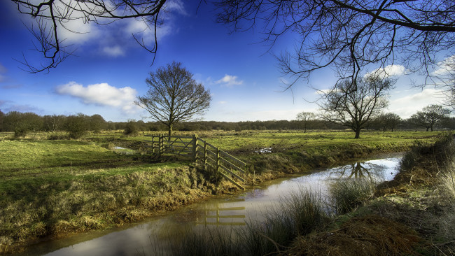 Обои картинки фото природа, реки, озера, лес, река