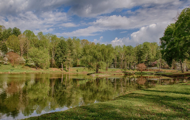 Обои картинки фото природа, реки, озера, река, лес