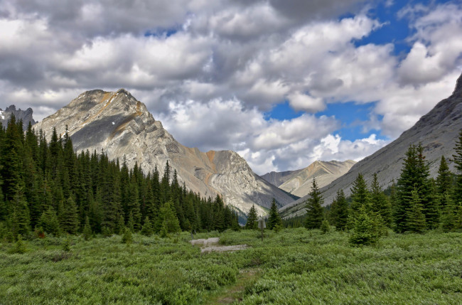 Обои картинки фото природа, горы, речка, лес, ложбина