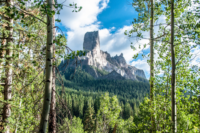 Обои картинки фото природа, горы, лес