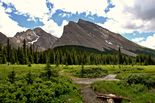 Обои картинки фото природа, реки, озера, речка, горы, лес