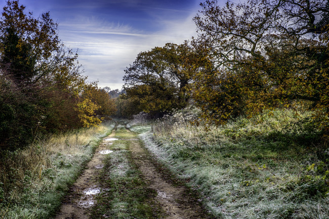 Обои картинки фото природа, дороги, лес, иней, тракт