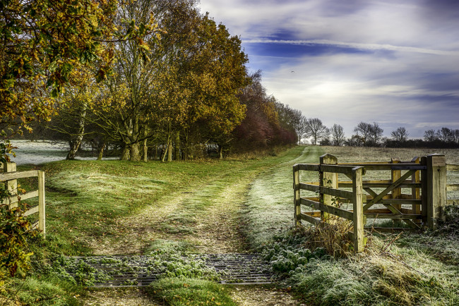 Обои картинки фото природа, дороги, поле, лес, тракт, калитка