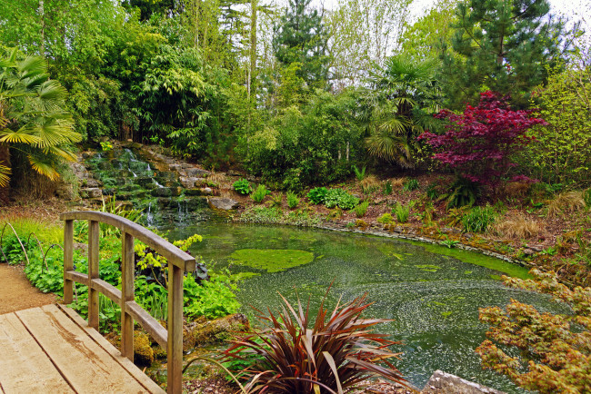 Обои картинки фото природа, парк, река, лес