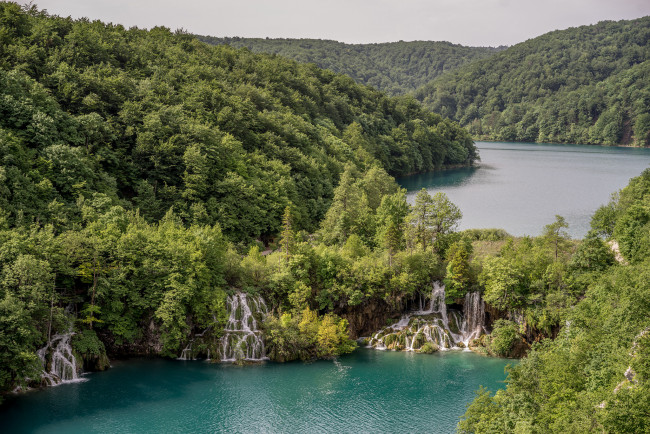 Обои картинки фото природа, реки, озера, лес, река