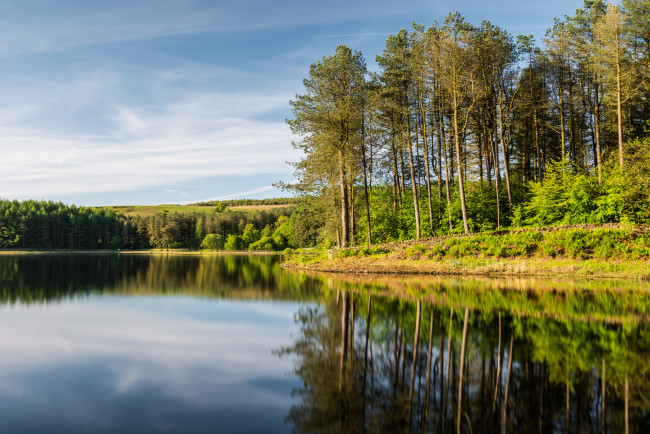 Обои картинки фото природа, реки, озера, река, лес