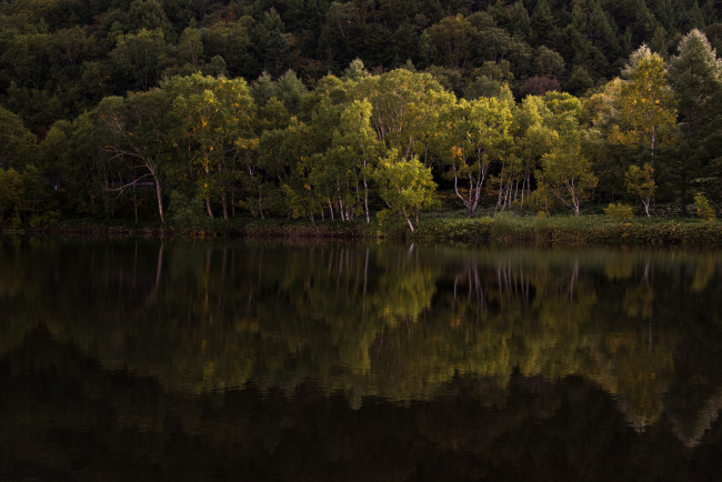 Обои картинки фото природа, реки, озера, река, лес