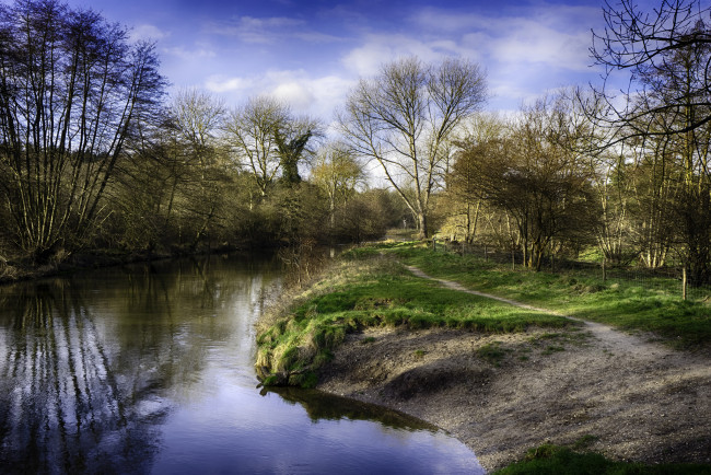 Обои картинки фото природа, реки, озера, река, лес