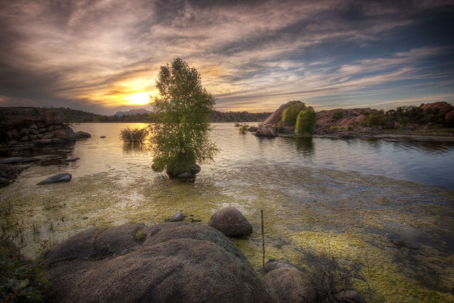 Обои картинки фото природа, восходы, закаты, сумерки, река, лес