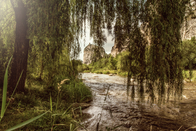 Обои картинки фото природа, реки, озера, река, лес