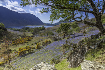 Картинка природа дороги простор