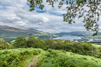 Картинка природа пейзажи простор