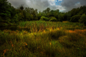 Картинка природа пейзажи простор