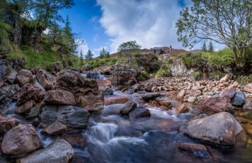 Картинка природа реки озера река лес