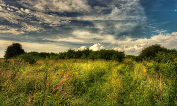 Картинка природа пейзажи простор