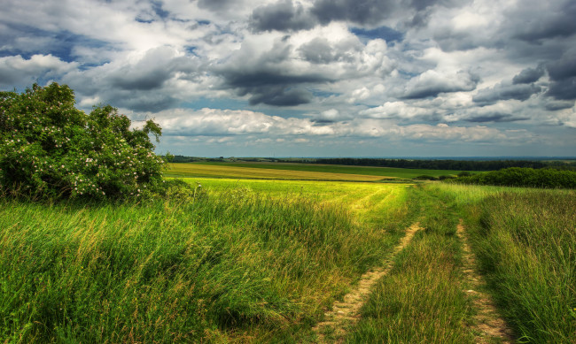 Обои картинки фото природа, пейзажи, простор