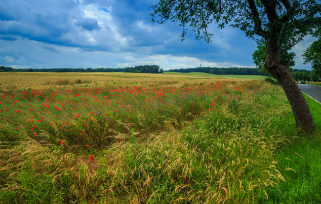 Обои картинки фото природа, пейзажи, простор