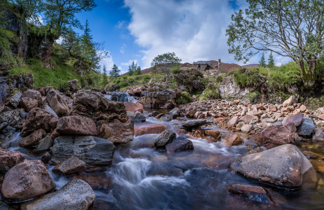 Обои картинки фото природа, реки, озера, река, лес