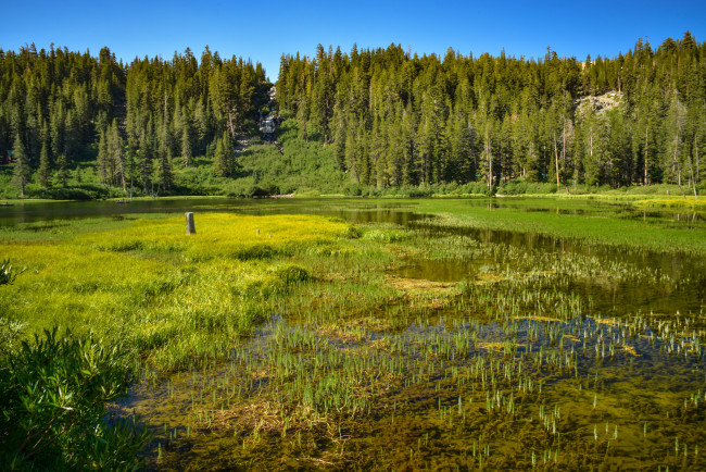 Обои картинки фото природа, пейзажи, простор