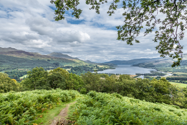 Обои картинки фото природа, пейзажи, простор