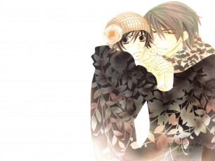 Картинка аниме junjou+romantica романтика