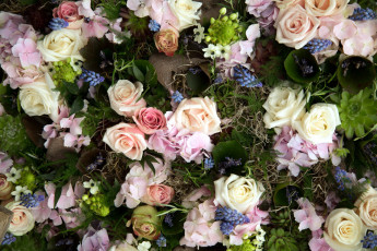 Картинка цветы разные+вместе мускари розы