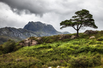 Картинка природа пейзажи простор