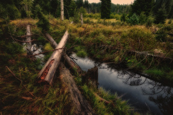 Картинка природа реки озера простор