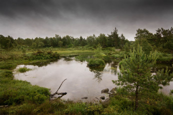 Картинка природа реки озера простор