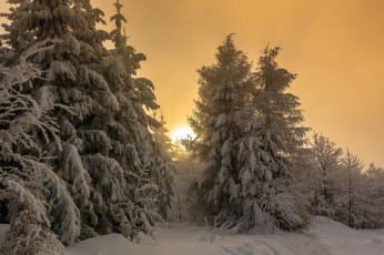 Картинка природа зима простор