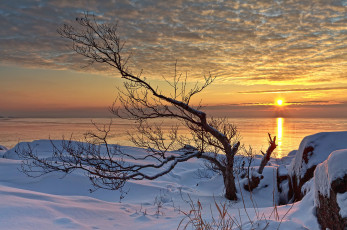 Картинка природа зима простор