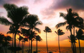 Картинка природа тропики закат небо горизонт