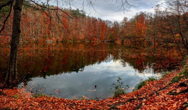 Обои картинки фото природа, реки, озера, простор