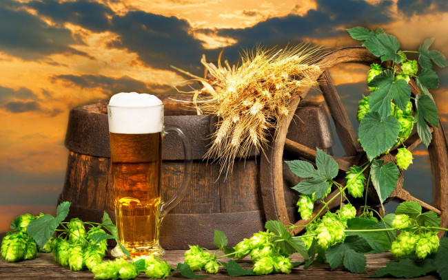 Обои картинки фото еда, напитки,  пиво, закат, пиво, колосья, небо, облака, пена, хмель, стакан, колесо, бочка, пейзаж, фон
