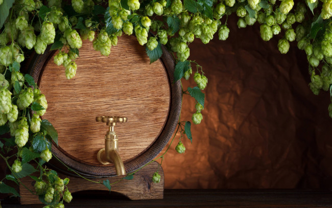 Обои картинки фото разное, - другое, хмель, краник, бочка, пиво